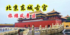噗嗤噗嗤撞击花心中国北京-东城古宫旅游风景区